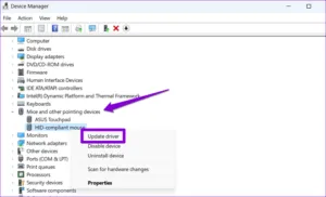 Mice and other pointing devices
