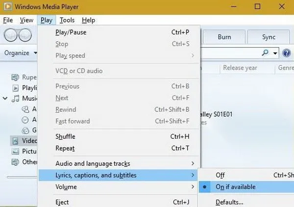 . Windows Media Player