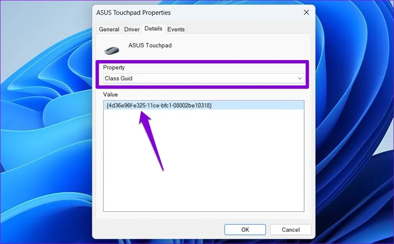 Details A driver cannot load