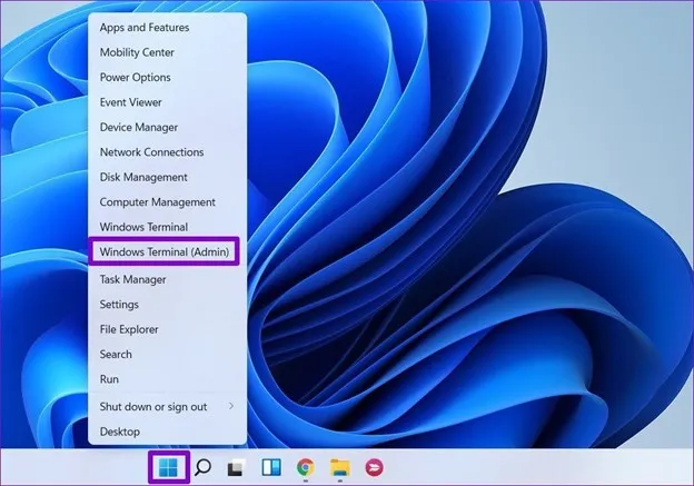 Windows Terminal (admin)