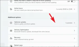 Optional updates درایور گرافیک