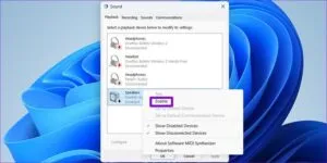 تب Playback